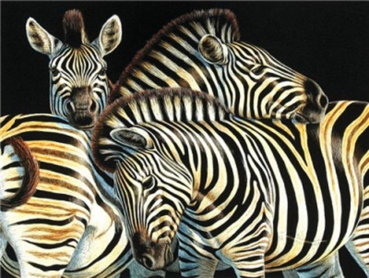 Diamond Painting nr 95 Zebras OP=OP, Hobby en Vrije tijd, Knutselen, Nieuw, Knutselwerk, Ophalen