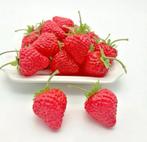 20x Kunst Aardbeien – Nepfruit Decoratie Sierfruit Keuken, Huis en Inrichting, Woonaccessoires | Overige, Verzenden, Nieuw