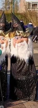 Gezocht: 2 van deze tovernaarspakken, Ophalen of Verzenden, Zo goed als nieuw, Carnaval