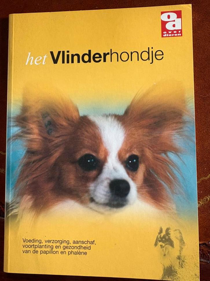 Zeldzaam boekje over Het vlinderhondje, Boeken, Dieren en Huisdieren, Gelezen, Honden, Ophalen of Verzenden