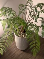 Super leuke silka plant met een mooie bloempot., Huis en Inrichting, Kamerplanten, Ophalen of Verzenden, Halfschaduw, Minder dan 100 cm