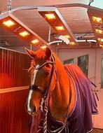 Nieuw solarium, Ophalen, Nieuw