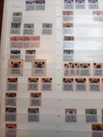 Album Duitse staten en bezetting en Abstimmungsgebiete, Ophalen of Verzenden, Buitenland