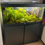 Aquarium 180 liter ( zonder vissen) compleet, Dieren en Toebehoren, Ophalen of Verzenden, Gebruikt, Gevuld zoetwateraquarium