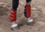 Hv polo beschermers rood maat M, Dieren en Toebehoren, Ophalen of Verzenden, Gebruikt