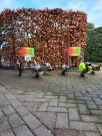Carnavals wagen, prijswinnaar Sittard 2026, Hobby en Vrije tijd, Feestartikelen, Ophalen, Carnaval