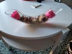 Gedroogde bloemen in glas, Huis en Inrichting, Woonaccessoires | Overige, Ophalen of Verzenden, Zo goed als nieuw