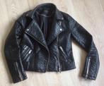 Bikerjack / kort jasje Zwart XS Eleven Paris Mooie kwaliteit, Kleding | Dames, Zwart, Zo goed als nieuw, Maat 34 (XS) of kleiner