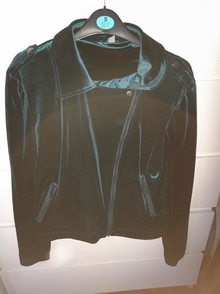 Nieuwe Dames Velours Blazer - Maat 40 - 20 e vast., Kleding | Dames, Overige Dameskleding, Nieuw, Ophalen of Verzenden