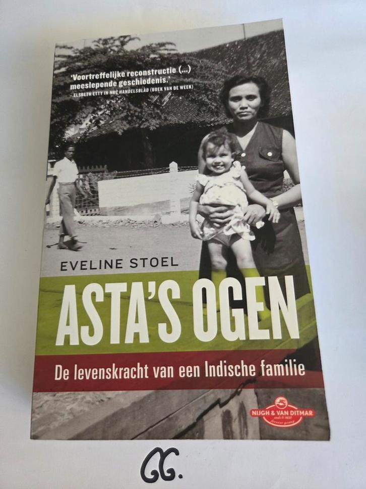 Eveline Stoel - Asta's ogen, Boeken, Overige Boeken, Zo goed als nieuw, Ophalen of Verzenden