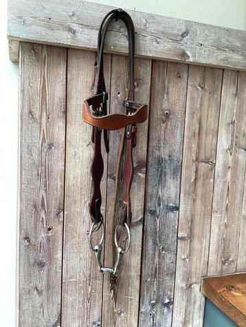 Western hoofdstel met bit beschikbaar voor biedingen