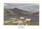 ansicht Ierland: Kerry, 1993, Ophalen of Verzenden, 1980 tot heden, Gelopen, Buiten Europa