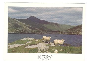 ansicht Ierland: Kerry, 1993 beschikbaar voor biedingen