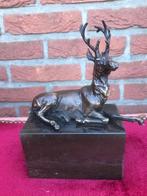 goed bronzen beeld, rustend edelhert, Ophalen of Verzenden, Brons