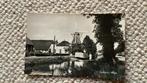 Ansichtkaart Zuidlaren Molen. 923, Verzamelen, Ansichtkaarten | Nederland, Ophalen of Verzenden, 1940 tot 1960, Ongelopen, Drenthe