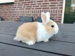 Jonge konijnen en moeder, Dieren en Toebehoren, Konijnen, Meerdere dieren