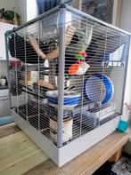 Ferplast furet xl, Dieren en Toebehoren, Knaagdieren en Konijnen | Hokken en Kooien, Ophalen, Zo goed als nieuw, Kooi, 90 cm of meer