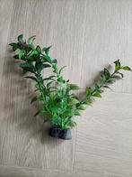 9 aquarium plantjes van plastic, Dieren en Toebehoren, Ophalen of Verzenden, Gebruikt, Plant(en), Steen of Hout