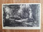 ansichtkaart Breda Liesbosch Dreef naar uitspanning Princenh, Ophalen of Verzenden, 1920 tot 1940, Ongelopen, Noord-Brabant