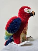 Steiff papagaai vogel jaren 60-70 mohair beer oud speelgoed, Ophalen of Verzenden
