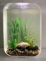 biOrb Life 45 liter aquarium vissenkom z.g.a.n. compleet, Dieren en Toebehoren, Ophalen of Verzenden, Nieuw, Leeg aquarium