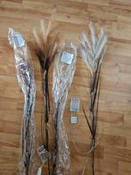 4 pluimtakken met verlichting ( nieuw), Diversen, Kerst, Ophalen of Verzenden, Nieuw