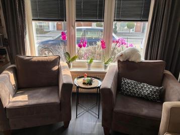 2 Comfortable Armchairs – Stylish, Durable & Pet-Friendly! beschikbaar voor biedingen