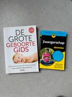 Zwangerschapsboeken: Geboortegids & Zwangerschap Dummies, Ophalen of Verzenden, Gelezen, Zwangerschap en Bevalling
