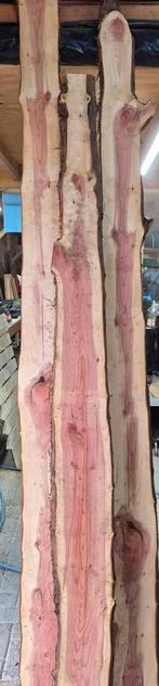 Taxus schaaldelen 2cm dik, 250cm lang, Ophalen