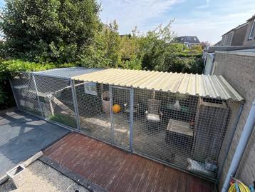 Dierenkennel / Dierenren beschikbaar voor biedingen