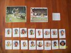 FC den Haag plaatjes ( 1-0 Plakalbum 1971 - 1972), Verzamelen, Sportartikelen en Voetbal, Gebruikt, Poster, Plaatje of Sticker
