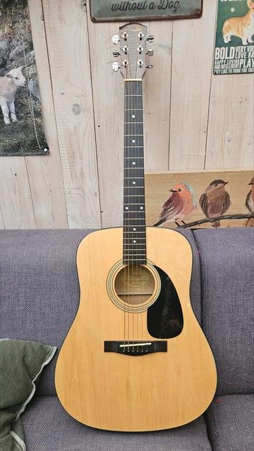 Fender DG-5NAT Western gitaar beschikbaar voor biedingen