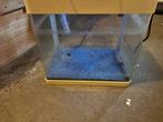 Aquarium, Ophalen of Verzenden, Gebruikt, Leeg aquarium