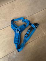 Honden tuigje S, Dieren en Toebehoren, Hondenhalsbanden en Penningen, Ophalen of Verzenden, Zo goed als nieuw