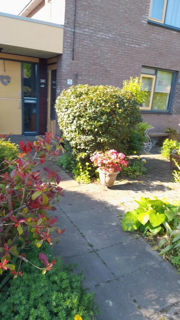 tuinonderhoud, Diensten en Vakmensen, Tuinmannen en Stratenmakers, Tuinonderhoud of Snoeiwerk, Garantie