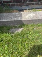 Betonnen trottoir banden, Tuin en Terras, Tegels en Klinkers, Ophalen, Gebruikt, Overige typen, Minder dan 5 m²