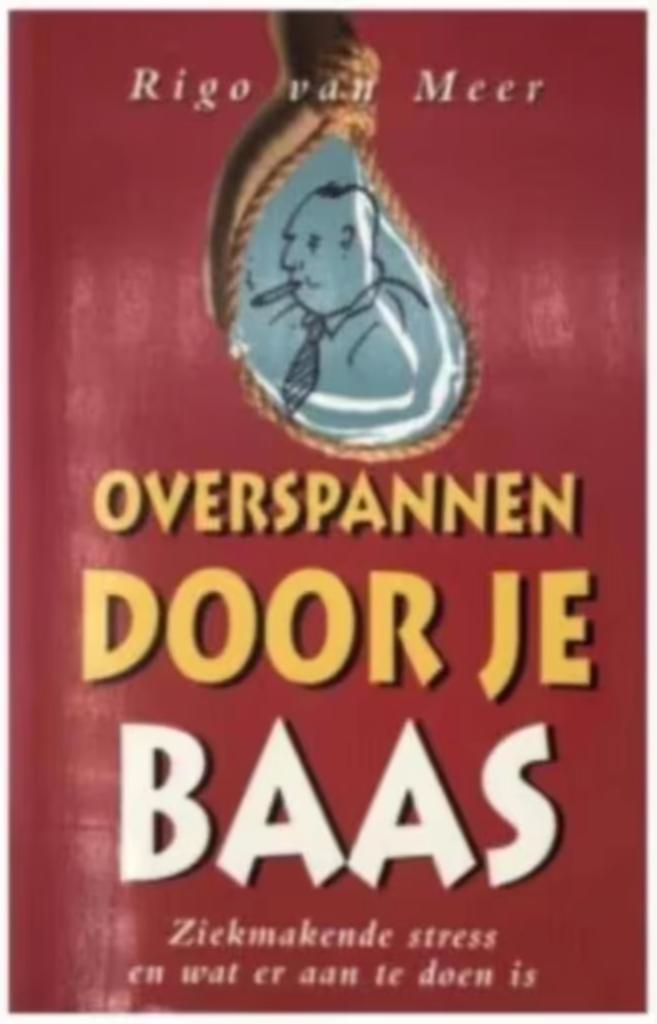 OVERSPANNEN DOOR JE BAAS (Rigo van Mees, Boeken, Economie, Management en Marketing, Zo goed als nieuw, Ophalen of Verzenden