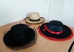 3 hoeden 1 kapje carnaval foute party nieuw., Kleding | Dames, Ophalen of Verzenden, Nieuw, Carnaval
