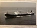 Van Ommeren  Scherpendrecht 1950  Wilton Fijenoord, Ophalen of Verzenden, Motorboot, Kaart, Foto of Prent