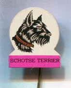Schotse Terrier blik honden speldje ( N_072 ), Verzenden, Zo goed als nieuw, Transport, Speldje of Pin
