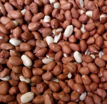 Gepelde pinda’s voor vogels beschikbaar voor biedingen