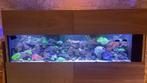 Zee aquarium, Dieren en Toebehoren, Vissen | Aquaria en Toebehoren, Ophalen, Gebruikt, Leeg aquarium