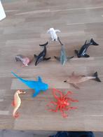 Zeedieren 9 stuks, Ophalen, Gebruikt
