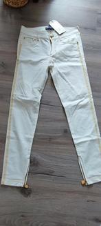 versace x h&m jeans witte broek 36 S nieuw, Wit, Nieuw, Ophalen of Verzenden, Versace