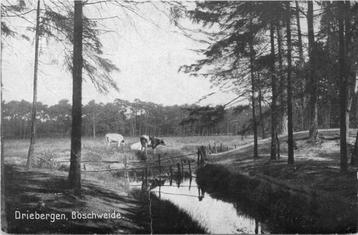 (377-006-027) Hilversum Boschweide beschikbaar voor biedingen