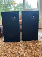 Vintage L&G S-25 Speakers - Zwart - 50 jaar oud, Audio, Tv en Foto, Gebruikt, Minder dan 60 watt, Front, Rear of Stereo speakers