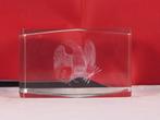 Dieren kristal glasblokken (Foto in glas), Ophalen of Verzenden, Nieuw