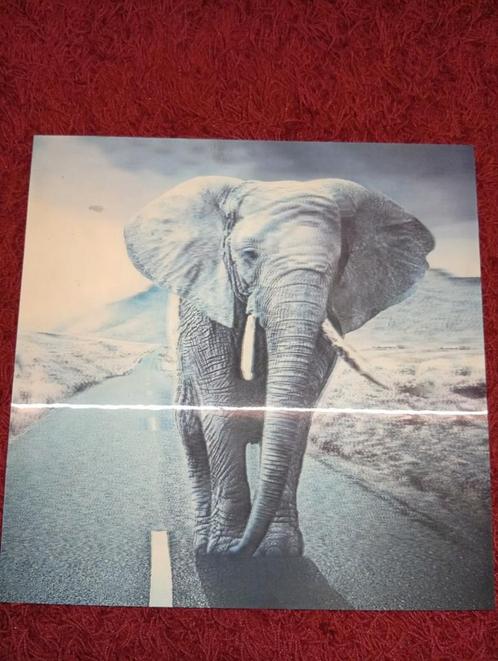 3 Holografische Foto's, Antiek en Kunst, Kunst | Tekeningen en Foto's, Ophalen of Verzenden