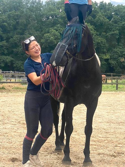 Instructrice aangeboden, Dieren en Toebehoren, Paarden en Pony's | Verzorgingsproducten, Nieuw, Ophalen
