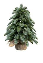 Nieuwe nobilis kunst kerstboom - kerst 30 cm hoog, Diversen, Kerst, Ophalen of Verzenden, Nieuw